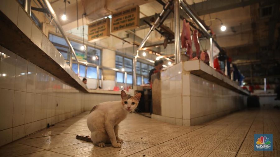 Suasana aktivitas penjualan daging sapi di Pasar Tebet Barat, Jakarta, Rabu (21/1/2026). (CNBC Indonesia/Faisal Rahman)