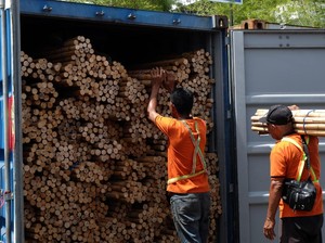 Rotan Indonesia Hampir Raib ke China, 58 Ton Dicegat di Pelabuhan