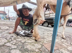 Eksistensi Delman dan Punahnya Profesi Farrier di Kota Tasikmalaya