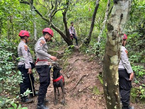 Polda Sulsel Kerahkan Anjing Pelacak Cari Korban Pesawat ATR 42-500