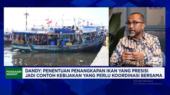 Video: Swasemba Pangan Laut Dikejar, Pemerintah Mau Nelayan Sejahtera