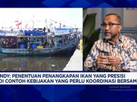 Video: Swasemba Pangan Laut Dikejar, Pemerintah Mau Nelayan Sejahtera