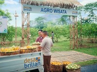 Konsisten Dorong Kemajuan Ekonomi Desa, BRI Raih Penghargaan Ini