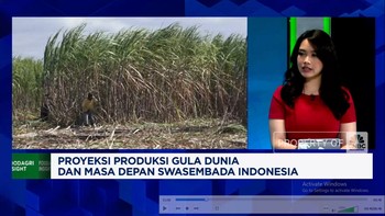 Video: Stok Global Melimpah, Indonesia Masih Tergantung Impor Gula?