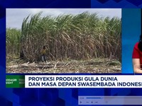 Video: Stok Global Melimpah, Indonesia Masih Tergantung Impor Gula?
