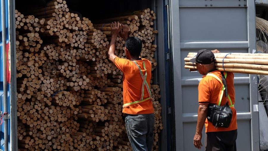 Kantor Wilayah (Kanwil) Bea Cukai Kalimantan Bagian Barat (Kalbagbar) menggagalkan upaya penyelundupan 58,3 ton rotan ilegal yang diduga akan dikirim ke China. (Dok. Humas DJBC)