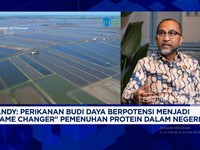 Video: Lewat Ikan Nila-Rumput Laut, RI Kejar Swasembada Pangan Maritim