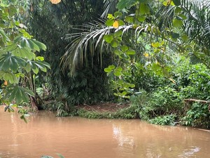Ngeri! Lisa Buaya 1,5 Meter Kerap Muncul di Belakang SMAN 5 Depok