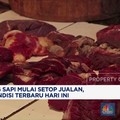 Video: Pedagang Sapi Mulai Setop Jualan