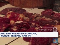 Video: Pedagang Sapi Mulai Setop Jualan