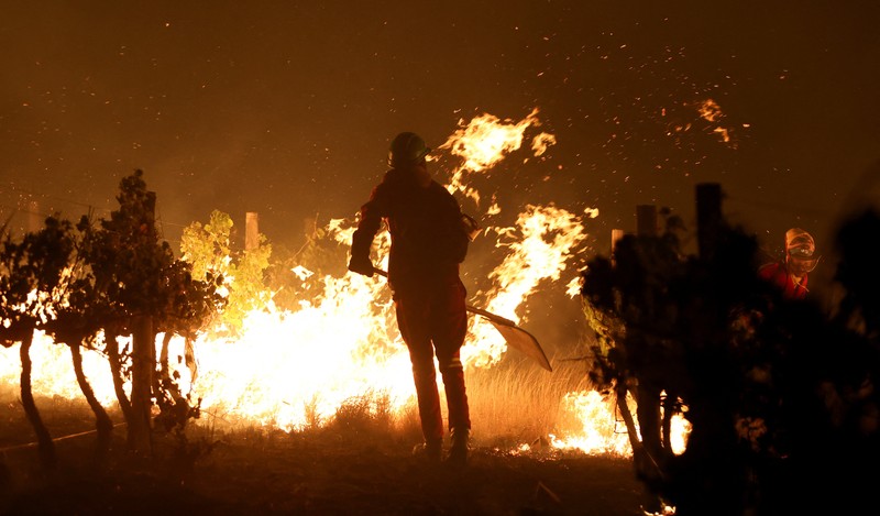 Seorang petugas pemadam kebakaran berdiri di samping kobaran api yang masih berlangsung di daerah Franschhoek, Cape Town, Afrika Selatan, 21 Januari 2026. (REUTERS/Esa Alexander)