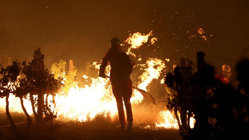 Seorang petugas pemadam kebakaran berdiri di samping kobaran api yang masih berlangsung di daerah Franschhoek, Cape Town, Afrika Selatan, 21 Januari 2026. (REUTERS/Esa Alexander)