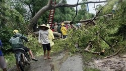 Banjir-Angin Kencang di Bima, 1 Mahasiswa Tewas Tertimpa Pohon Tumbang