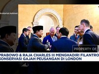 Video: Prabowo dan Raja Charles III Hadiri Filantropi Gajah Peusangan