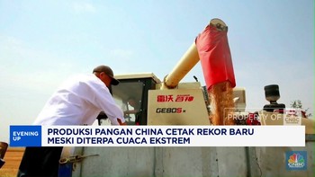 Video: Produksi Pangan China Cetak Rekor Baru