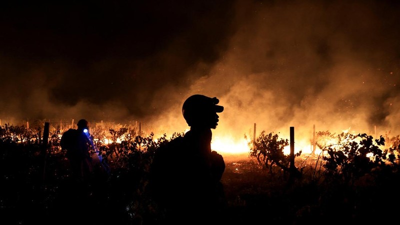 Seorang petugas pemadam kebakaran berdiri di samping kobaran api yang masih berlangsung di daerah Franschhoek, Cape Town, Afrika Selatan, 21 Januari 2026. (REUTERS/Esa Alexander)