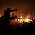 Seorang petugas pemadam kebakaran berupaya memadamkan api yang masih berkobar di daerah Franschhoek, Cape Town, Afrika Selatan, 21 Januari 2026. (REUTERS/Esa Alexander)