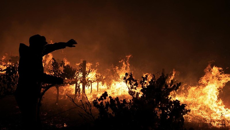 Seorang petugas pemadam kebakaran berdiri di samping kobaran api yang masih berlangsung di daerah Franschhoek, Cape Town, Afrika Selatan, 21 Januari 2026. (REUTERS/Esa Alexander)