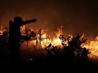 Seorang petugas pemadam kebakaran berupaya memadamkan api yang masih berkobar di daerah Franschhoek, Cape Town, Afrika Selatan, 21 Januari 2026. (REUTERS/Esa Alexander)
