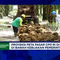 Video: Pemerintah Kejar Target B50, Apa Efeknya Ke Ekspor Sawit RI?