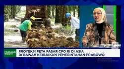 Video: Pemerintah Kejar Target B50, Apa Efeknya Ke Ekspor Sawit RI?