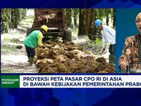 Video: Pemerintah Kejar Target B50, Apa Efeknya Ke Ekspor Sawit RI?