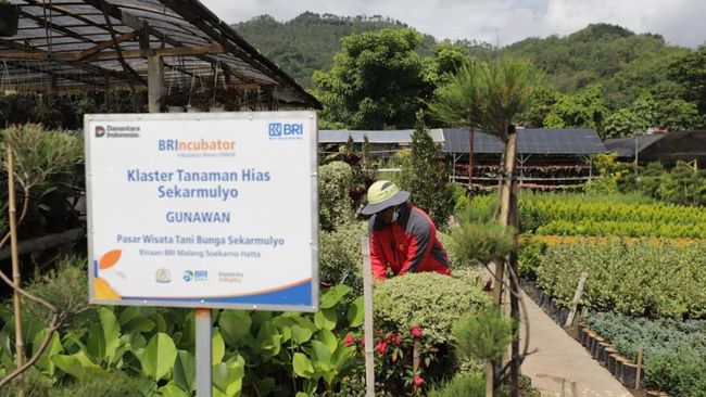 Mantap! BRI Berdayakan Lebih dari 42 Ribu Klaster Usaha