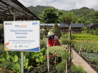 Mantap! BRI Berdayakan Lebih dari 42 Ribu Klaster Usaha