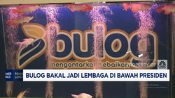 Video: Bulog Bakal Jadi Lembaga di Bawah Presiden