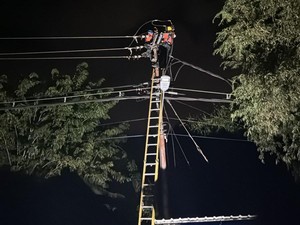 Cuaca Ekstrem Rusak 6 Jaringan Listrik Flores Timur, PLN Kerahkan 30 Petugas