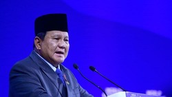 Alasan Prabowo Bolehkan Orang Asing Jadi Petinggi BUMN
