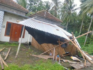 Hujan Angin, Rumah Warga di Tejakula Tertimpa Pohon Kelapa