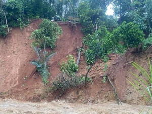Longsor di Talun Pekalongan, 2 Rumah Rusak-17 Orang Mengungsi