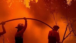 Karhutla Kubu Raya Nyaris Merambat ke Kompleks Perumahan