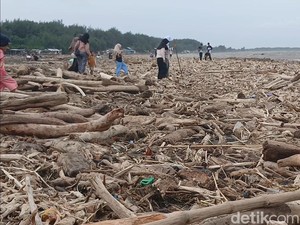 Banjir di Lereng Slamet Bawa Kayu Gelondongan, Walhi: Indikasi Deforestasi