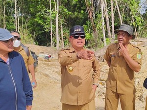 Perusahaan di Sanggau Cabut Tanaman Sawit, Ganti dengan Tanaman Lokal