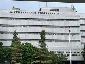 Arab Saudi Larang Impor Ayam dan Telur RI, Kementan Buka Suara