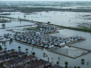 5.168 Hektare Sawah di Bekasi Terendam Banjir, Petani Terancam Gagal Panen
