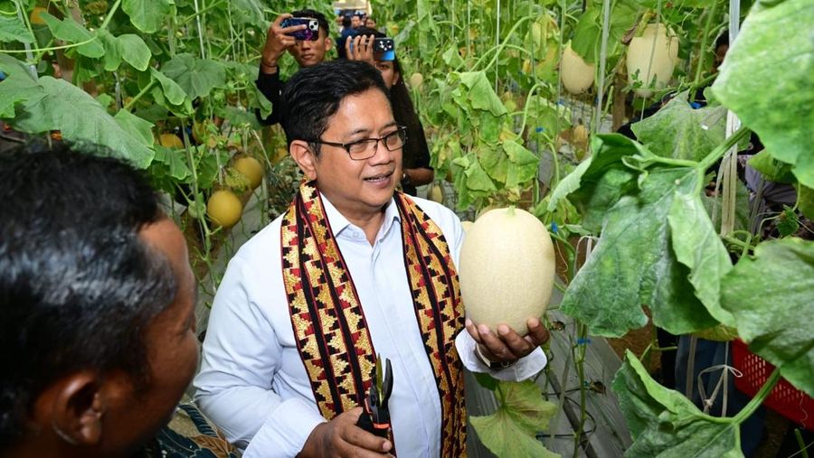 Kementerian Transmigrasi