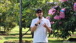 Dolar AS Nyaris Rp 17.000, BPKH: Stok Dana Haji Sudah Ada, Nggak Beli