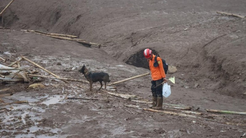 Tim SAR Gabungan Melakukan Operasi Pencarian dan pertolongan korban longsor di Desa Pasirlangu, Kabupaten Bandung Barat, Jawa Barat. Senin (26/1/2026). (BNPB)