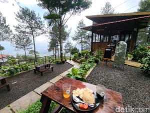 Sensasi Ngopi Syahdu di Tengah Hutan Pinus Kuningan