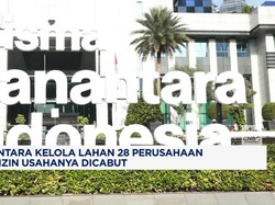 Video: Danantara Kelola Lahan 28 Perusahaan yang Izin Usahanya Dicabut