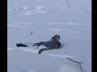 Turis China Nekat Selfie Bareng Macan Tutul, Videonya Tragis