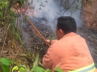 Sumatra Masuk Musim Kemarau, BMKG Ingatkan Ancaman Kebakaran di sini