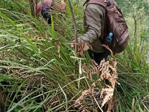 Pencarian Pendaki yang Hilang di Bukit Mongkrang Diperpanjang