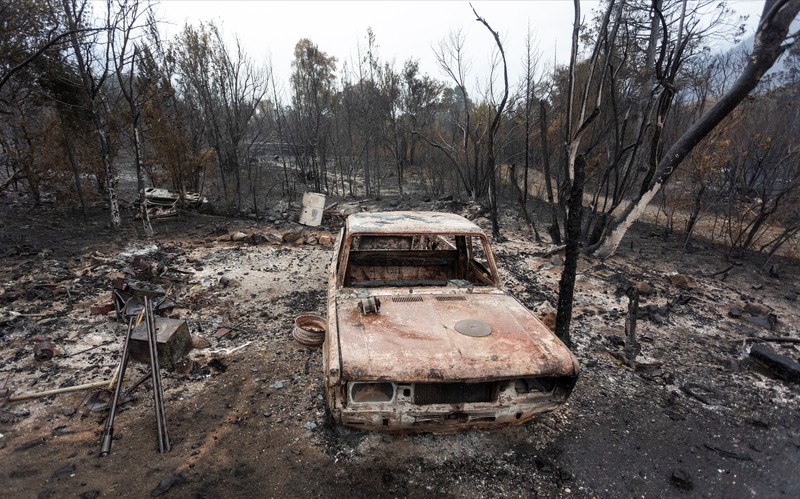 Puluhan ribu hektare kawasan hutan di wilayah Patagonia, Argentina, hangus dilahap api, pada Selasa, (27/1/2026). (REUTERS/Matias Garay)