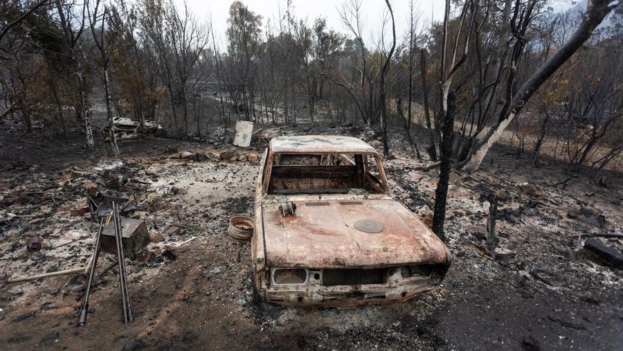 Puluhan ribu hektare kawasan hutan di wilayah Patagonia, Argentina, hangus dilahap api, pada Selasa, (27/1/2026). (REUTERS/Matias Garay)