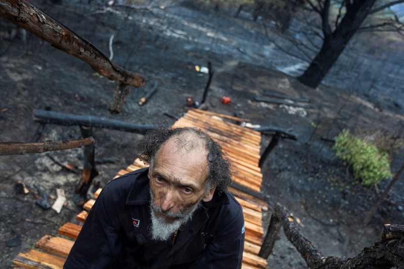 Puluhan ribu hektare kawasan hutan di wilayah Patagonia, Argentina, hangus dilahap api, pada Selasa, (27/1/2026). (REUTERS/Matias Garay)