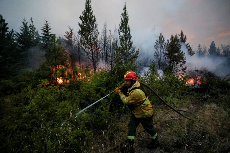 Puluhan ribu hektare kawasan hutan di wilayah Patagonia, Argentina, hangus dilahap api, pada Selasa, (27/1/2026). (REUTERS/Matias Garay)